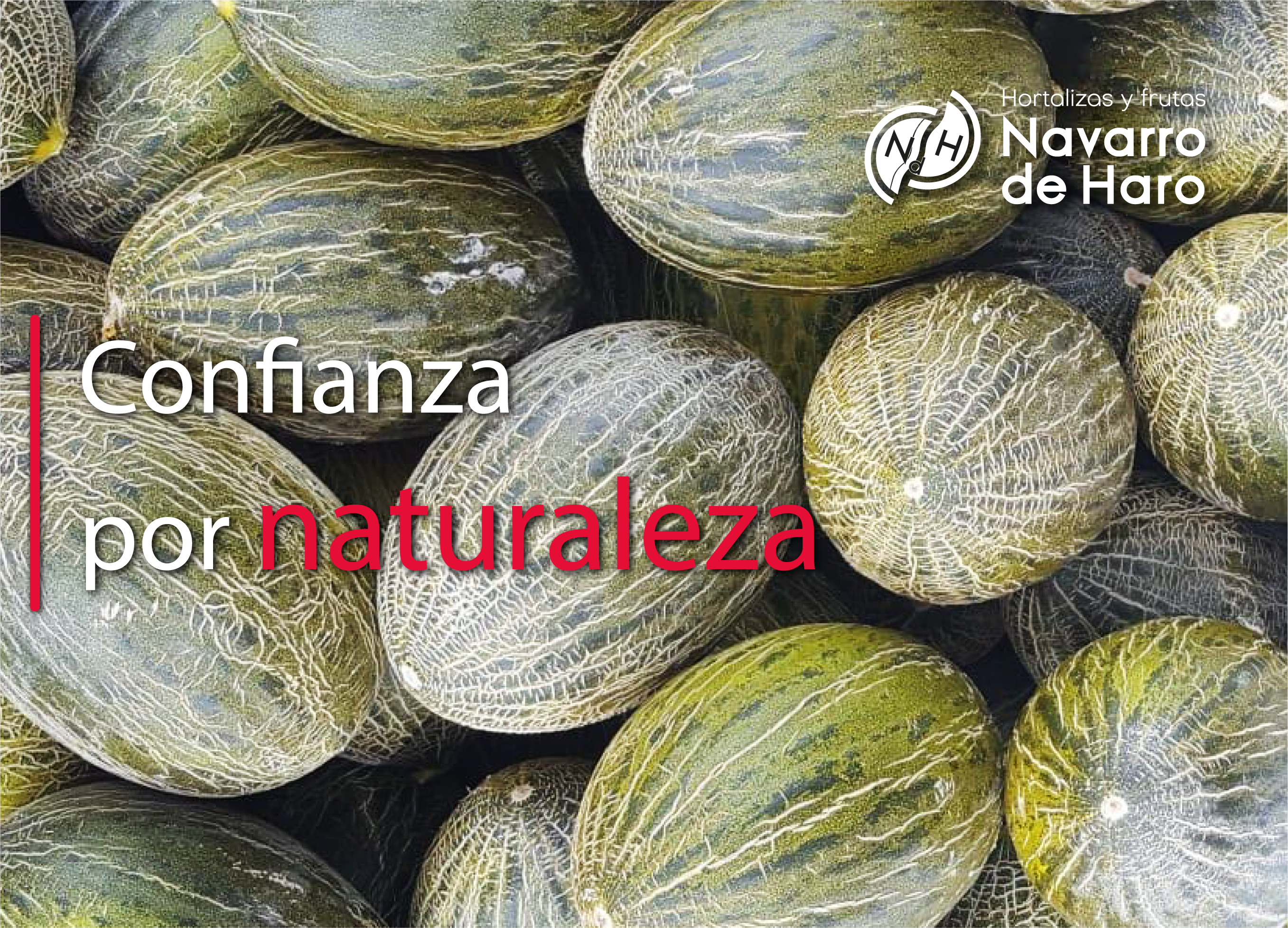 Melones Hortalizas y Frutas Navarro de Haro